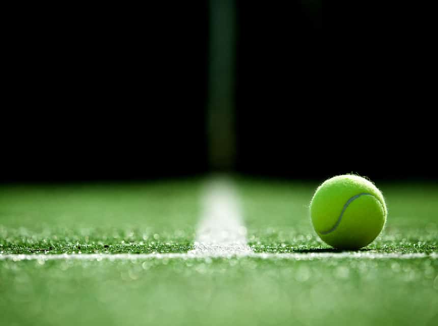 tennis ball on grass